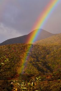 なないろのカスケード　紅葉の山に降り注ぐ
