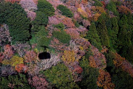 秋彩の山を行く　筑波山　2025