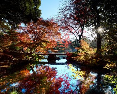 光との饗宴　六義園　2025