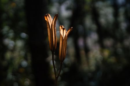 輝きは最後まで