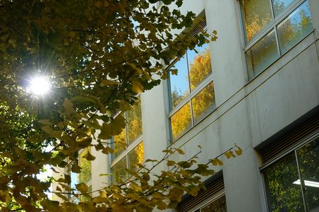 キャンパスの秋