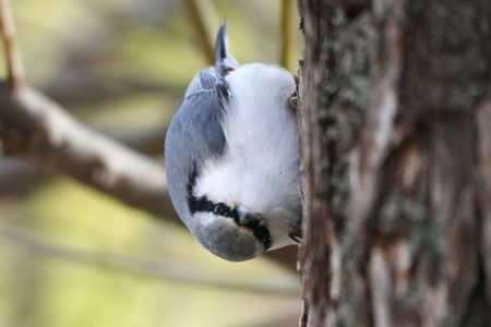 こんなポーズ、できないでしょ