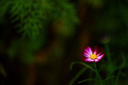 爽やかな秋の風に揺られて