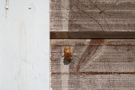 一生懸命登りました。