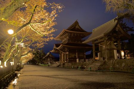 阿蘇神社と夜桜
