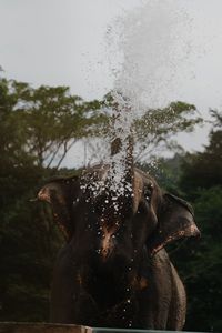 びしょ濡れ3秒前