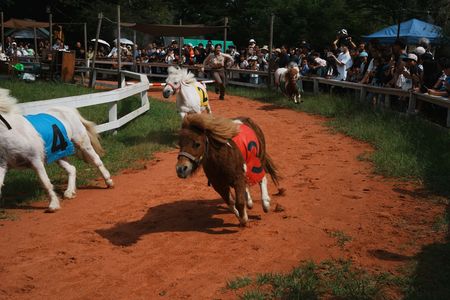 一番小柄な一等賞