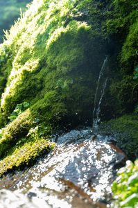 湧き出す水