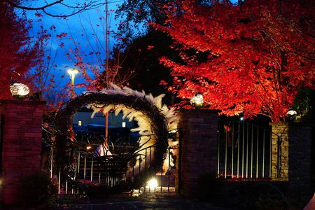 北海道の秋-十勝ヒルズ