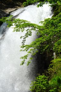 仙台秋保大滝　五月の新緑と瀑布