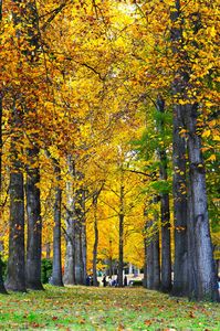 山形県総合運動公園（山形県天童市）