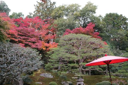 秋の気配