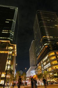 イルミネーションナイト