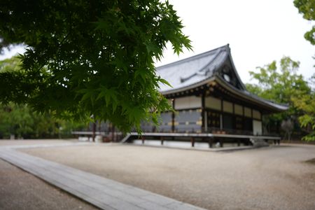 京都　旧御室御所　世界遺産　仁和寺