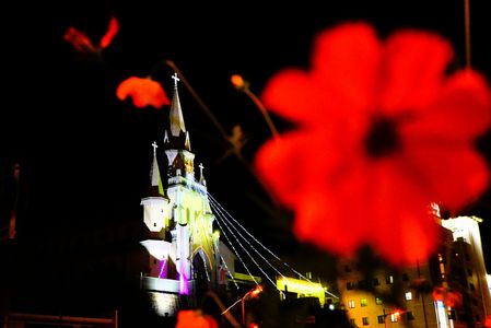 THE　違和感　秋なのか冬なのか・・・？