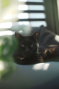 外が気持ちいい♪♪