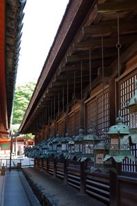 春日大社のちょっとした風景