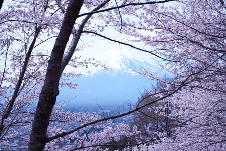 額縁の中の富士山