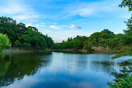 爽やかな早朝の公園