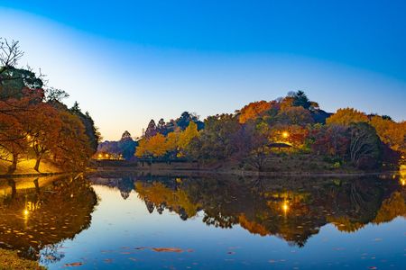 池面に映る夜明け