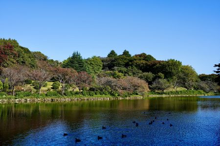色づき始めた公園