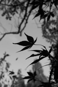 もう少し待ってね