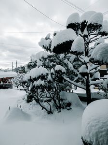 一夜にして冬景色