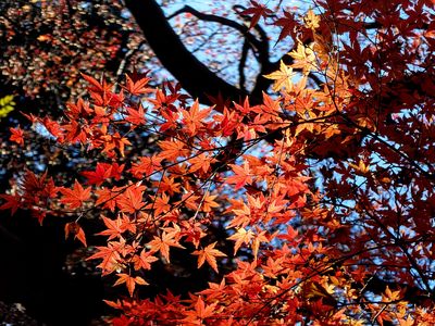 陽のあたる場所