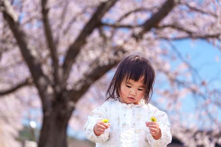 桜の木の下で#フラワー2025#