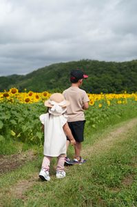 佐用町・ひまわり畑にて