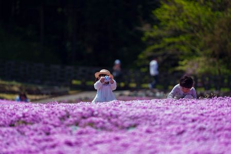 三田市・花のじゅうたんにて撮影