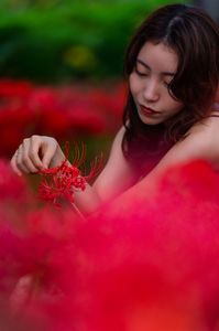 再会の記憶の…。