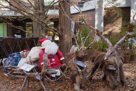 サンタが森にやって来た