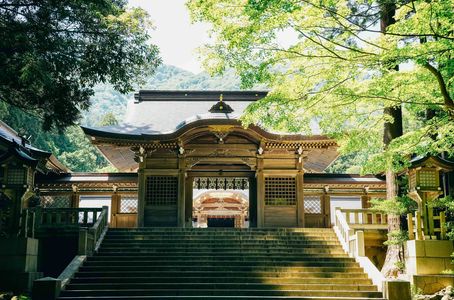 初夏の弥彦神社