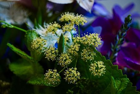 フラワーアレンジメント