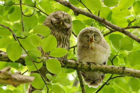 はい、チーズ！