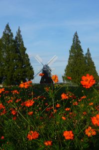 あけぼの山農業公園の風車