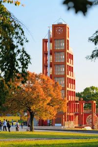 彩りに集う人々