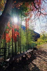 赤と緑の織り成す世界