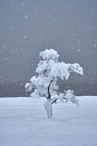 一人寂しく耐える