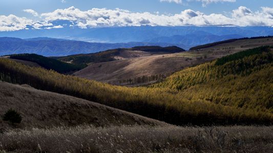 スポット光による情景２