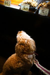 美味しそう！！