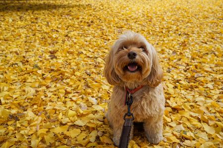 極上の座り心地