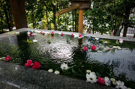 涼やかなひと時