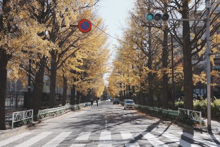 今年もカウントダウン