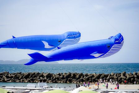 空飛ぶクジラ