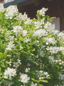 リキュウバイ🤍💚