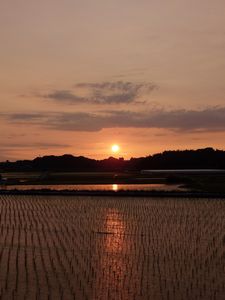 田んぼの夕日