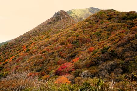 久住　紅葉