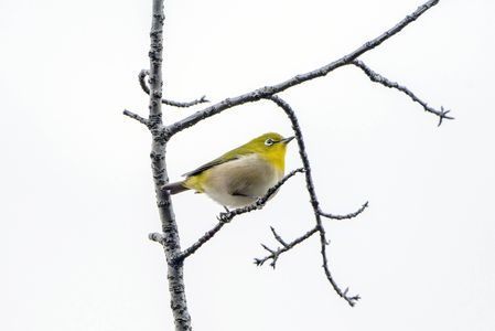 寒くなって来たぞー